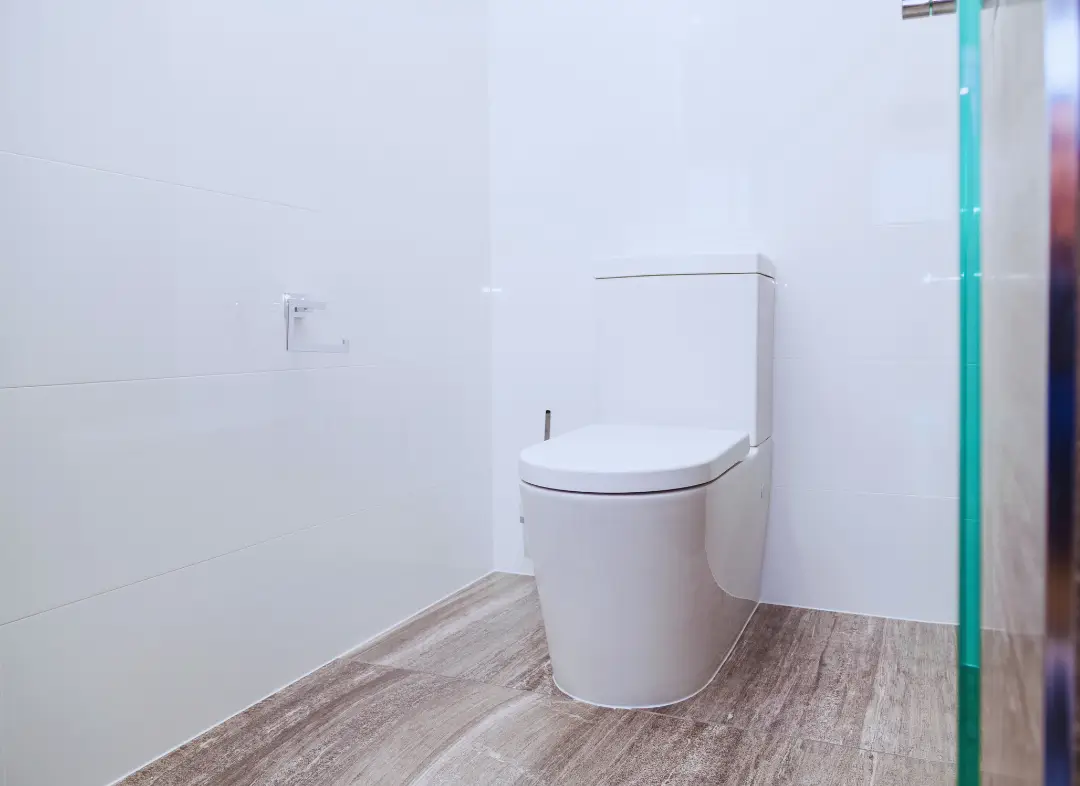 Remplacement de wc Les Garennes sur Loire